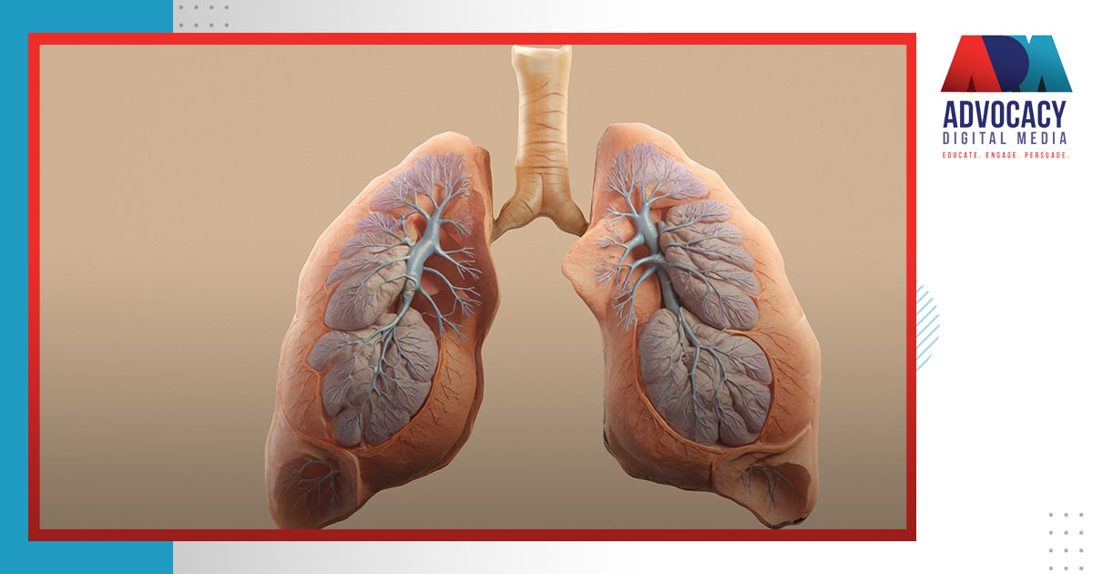 How 3D Medical Illustrations Strengthen Expert Witness Testimony